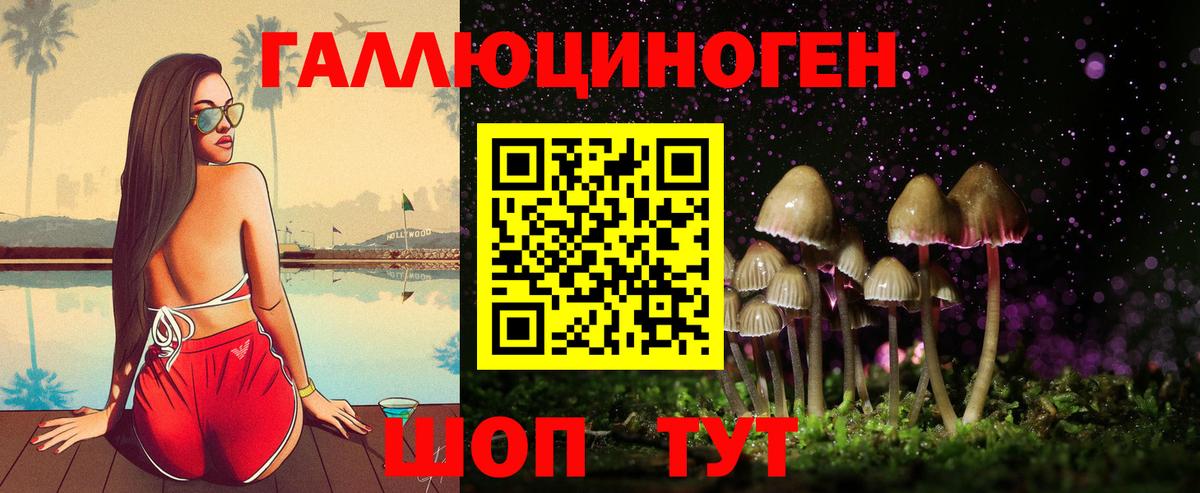 Псилоцибиновые грибы Psilocybine cubensis Владикавказ